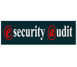 eSecurity Audit