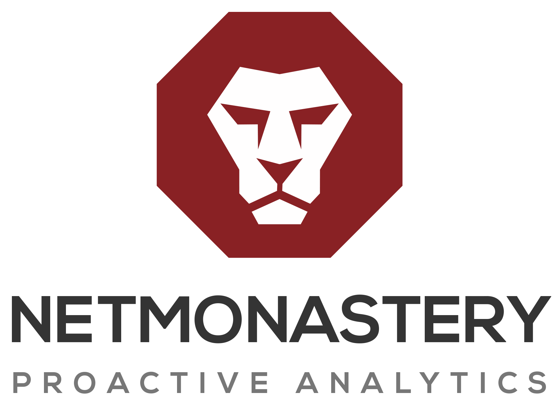Netmonastery logo